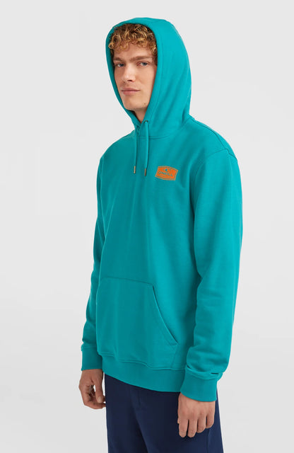 O´Neill Graphic Hoodie Island Breeze