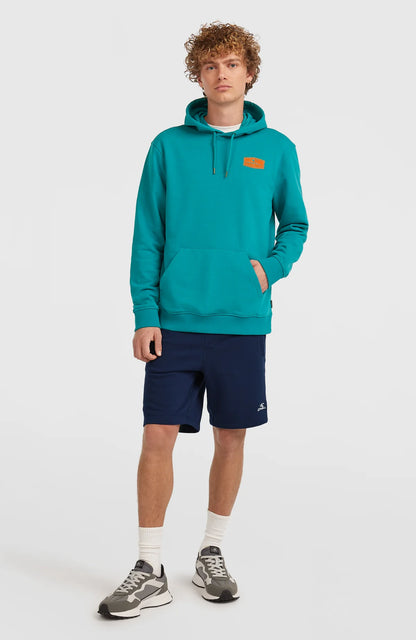 O´Neill Graphic Hoodie Island Breeze