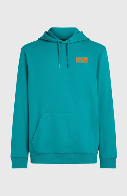 O´Neill Graphic Hoodie Island Breeze