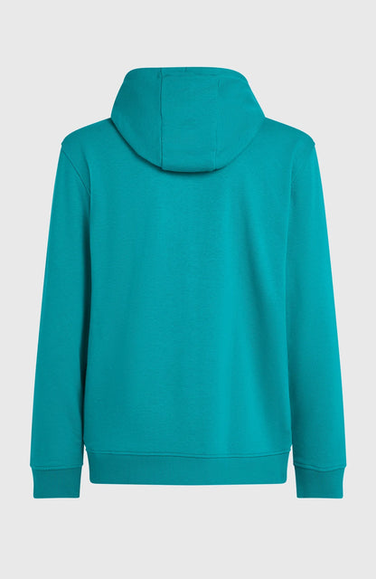 O´Neill Graphic Hoodie Island Breeze