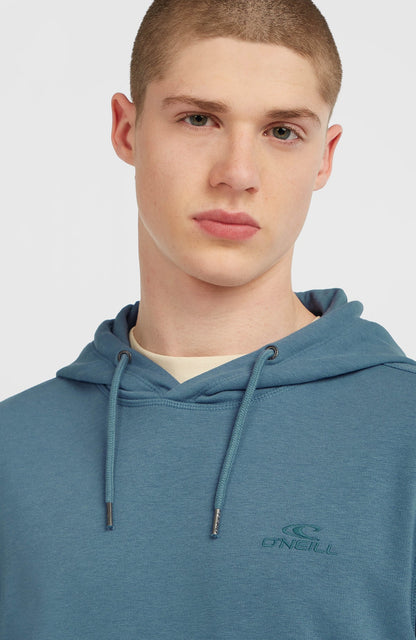 O'neill Men Small Logo Hoodie | Blue