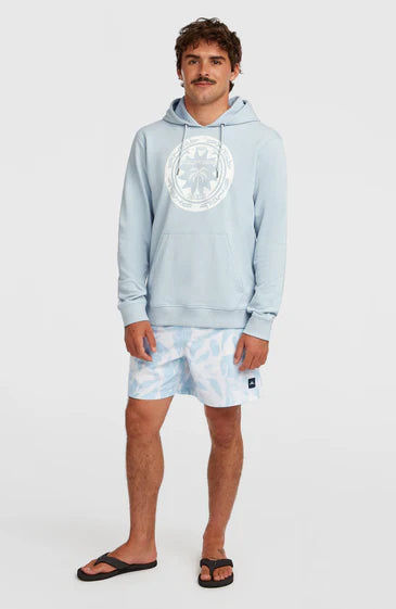 O'Neill Must-Have Graphic Hoodie Spindle