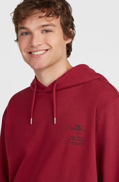 O´Neill Must-Have Hoodie | Red
