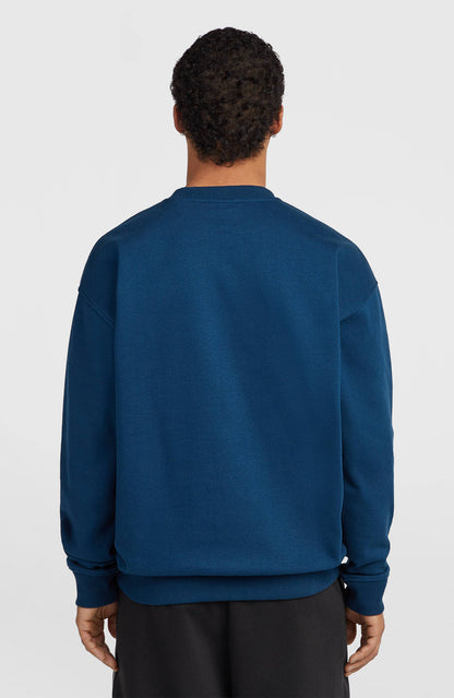 O´Neill FWC'Play Crew Sweatshirt | Blue