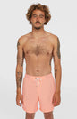 O´Neill Vert 16" Swim Shorts
