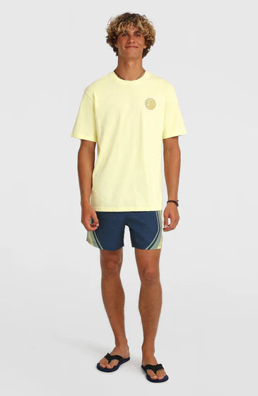 O'Neill O´Riginals Longboards 15" Swimshorts