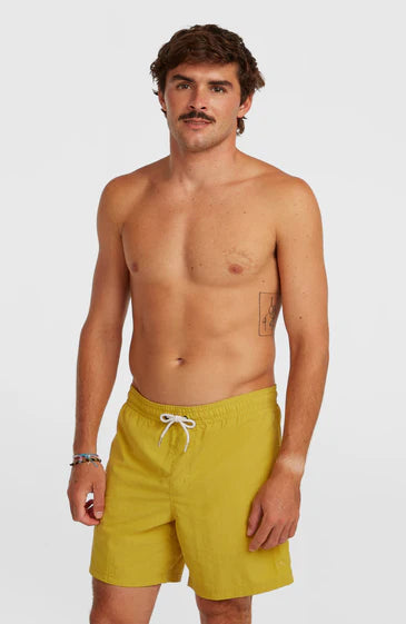 O'Neill Men Vert 16'' Swimshorts
