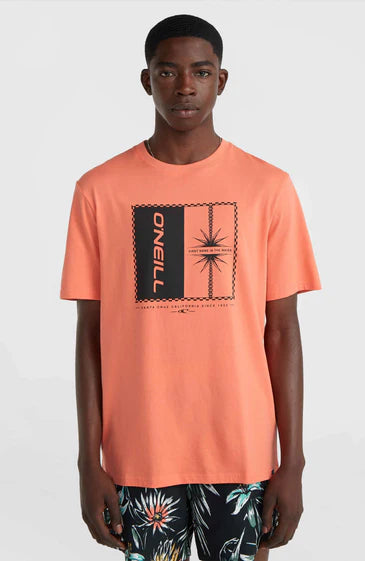 O'Neill Men Mix and Match Palm T-Shirt