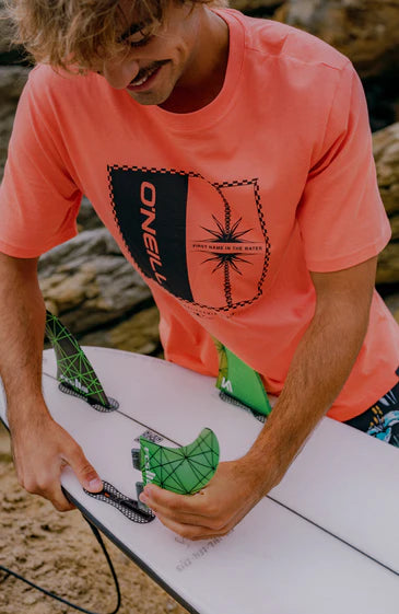 O'Neill Men Mix and Match Palm T-Shirt