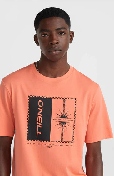 O'Neill Men Mix and Match Palm T-Shirt