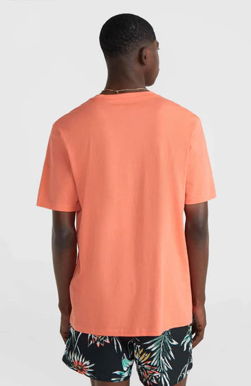 O'Neill Men Mix and Match Palm T-Shirt