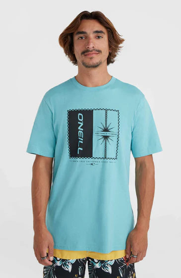 O'Neill Men Mix and Match Palm T-Shirt