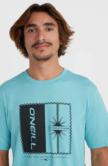 O'Neill Men Mix and Match Palm T-Shirt
