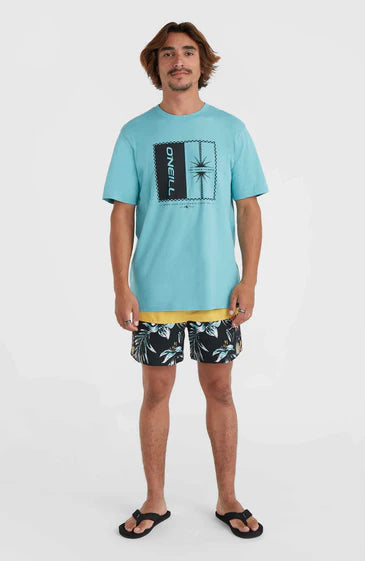 O'Neill Men Mix and Match Palm T-Shirt