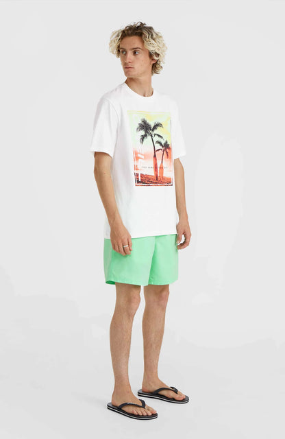 O'neill Men Jack O'Neill Neon T-Shirt | White