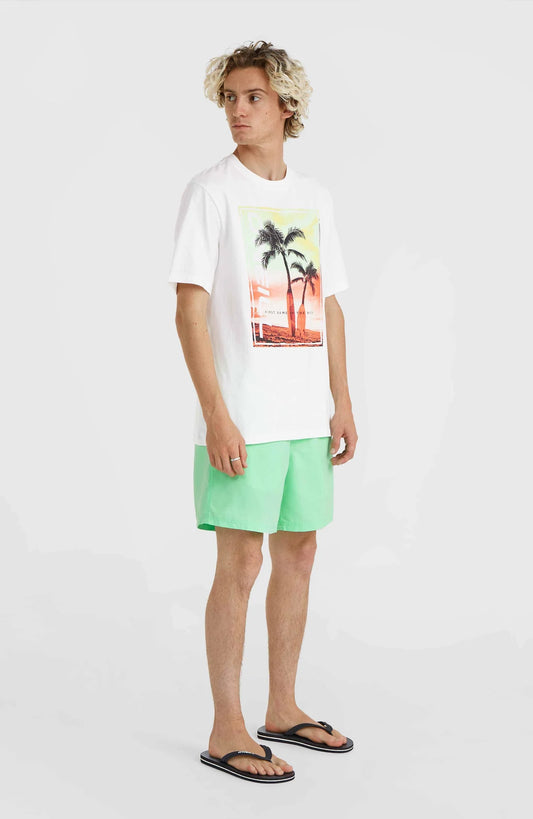 O'neill Men Jack O'Neill Neon T-Shirt | White