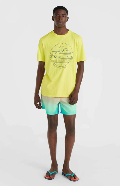 O'neill Men Jack O'Neill Muir T-Shirt | Yellow