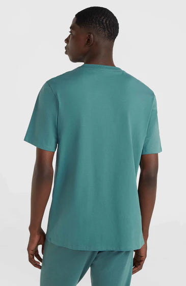 O'Neill Cali t shirt Logo