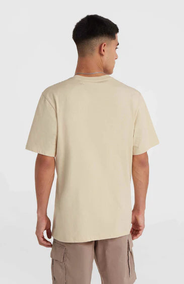 O'neill Small Logo T-Shirt