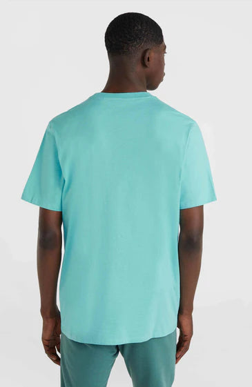 O'Neill Logo T-Shirt Blue