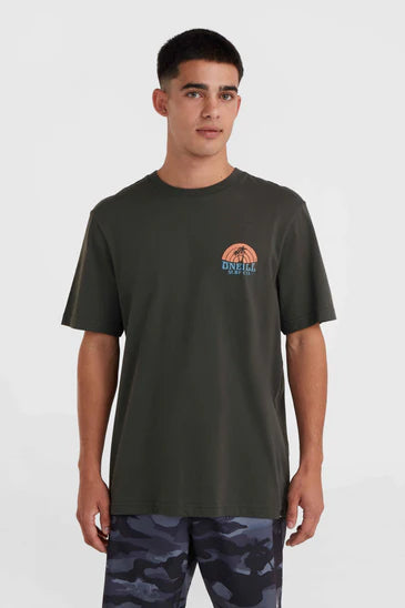 O'Neill Beach Graphic T-Shirt