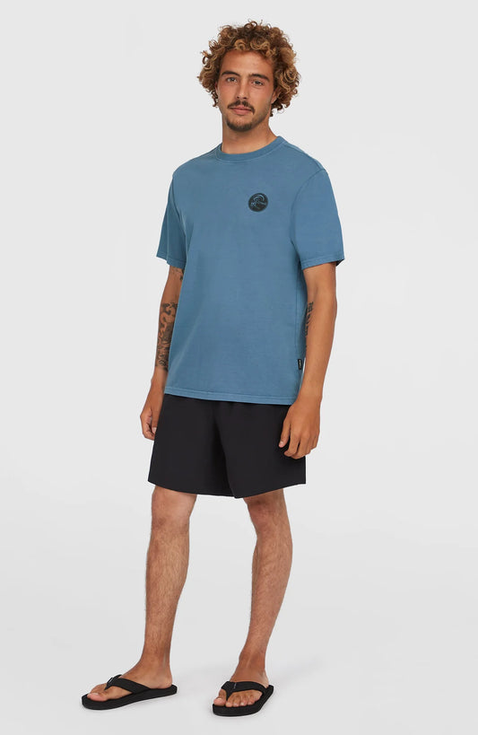 O'Neill O'riginals 70's Graphic T-shirt Blue
