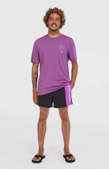 O´Neill Retro Graphic T-Shirt Sweet Grape