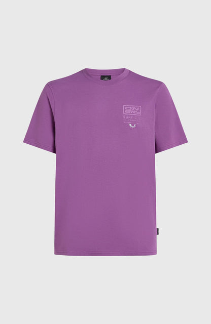 O´Neill Retro Graphic T-Shirt Sweet Grape