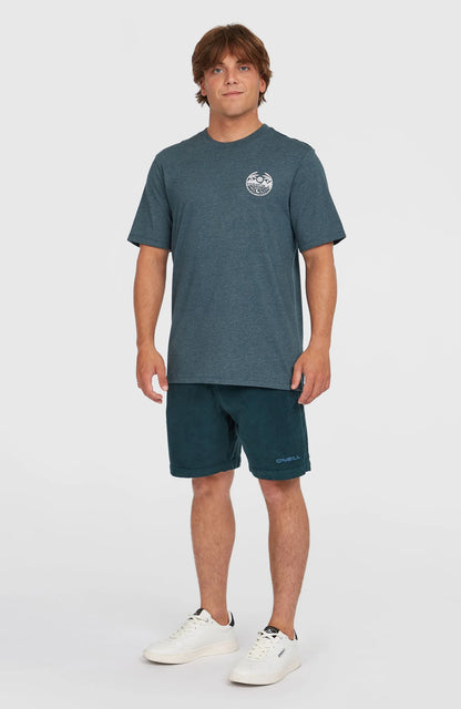 O'Neill Back Print T-shirt Alma Steel