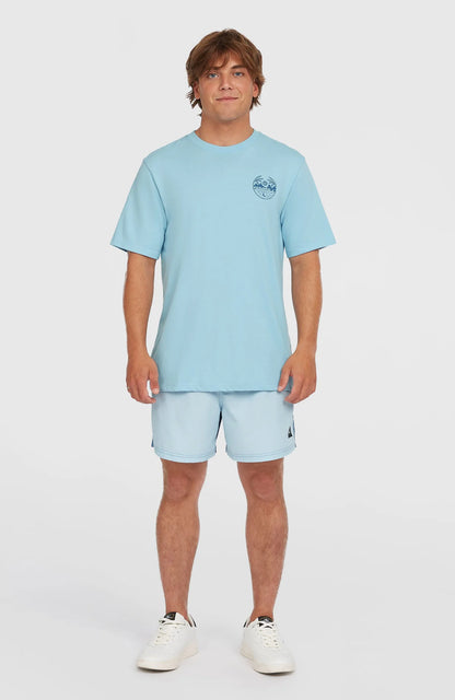 O'Neill Back Print T-shirt Blue