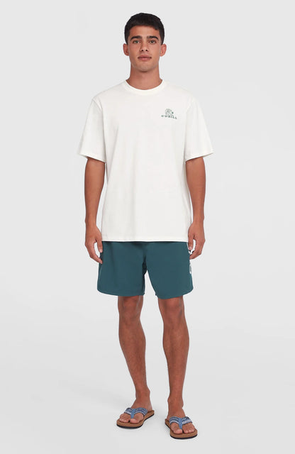 O'neill Men Surf Co T-Shirt | White