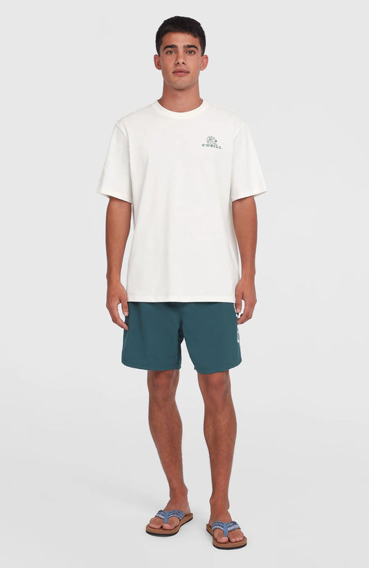 O'neill Men Surf Co T-Shirt | White