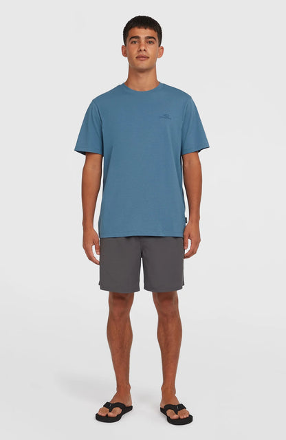 O'Neill Small Logo T-shirt