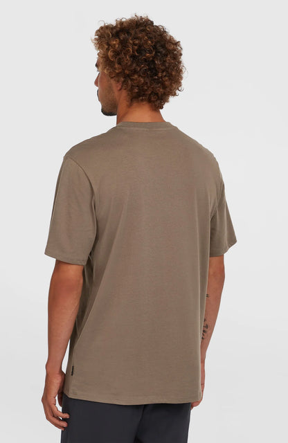 O´Neill Original Cali Logo T-Shirt Pure Cashmire