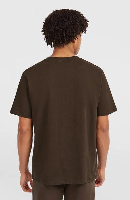 O'neill Men Future Surf Society T-Shirt | Brown