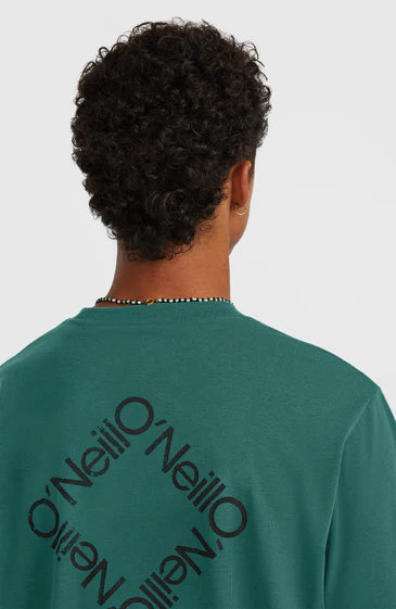 O'Neill Hybrid Polygeine Back Print Shirt Botanical Heat