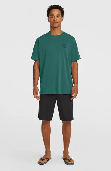 O'Neill Hybrid Polygeine Back Print Shirt Botanical Heat