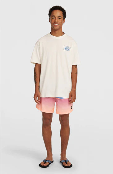 O´Neill Photo Back Print White