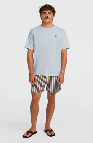 O'neill O'Riginals Vintage Graphic T-Shirt | Blue