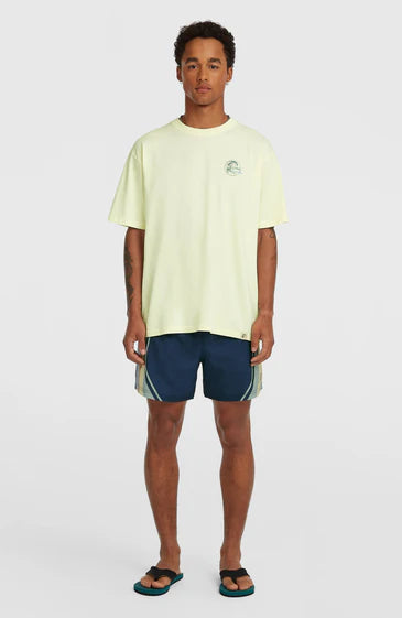 O´Neill O'riginal 70's Graphic T-shirt Rainforest Dew
