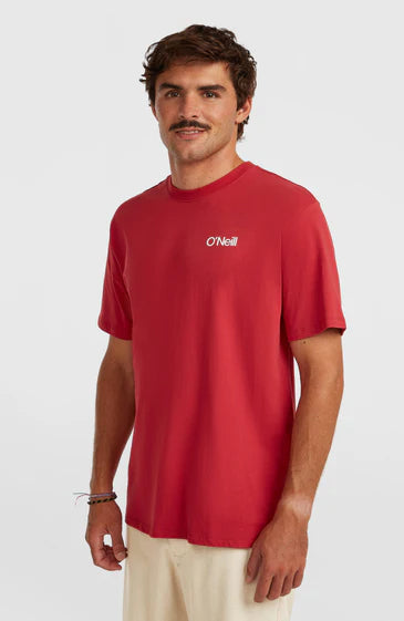 O'neill Polygiene Cotton Graphic T-Shirt | Red