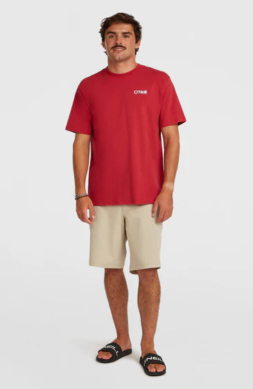 O'neill Polygiene Cotton Graphic T-Shirt | Red