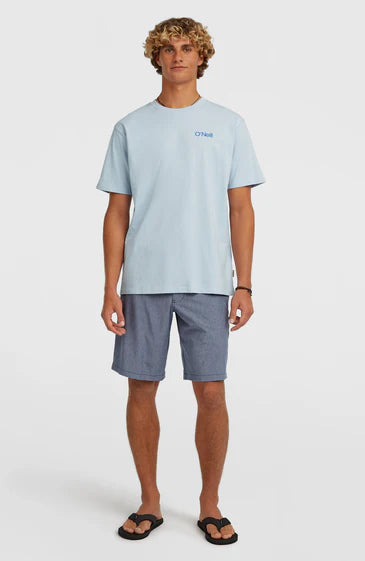 O'neill Polygiene Cotton Graphic T-Shirt | Blue