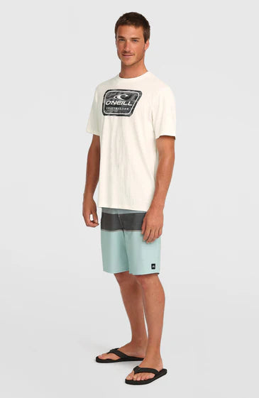 O'Neill Graphic T-Shirt | White