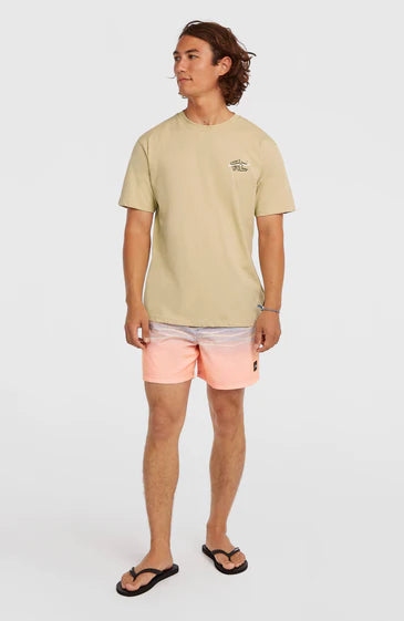 Men O’Neill Retro Back Print T-Shirt | Beige