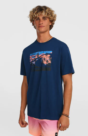 O´Neill Gradient T-shirt English Evening