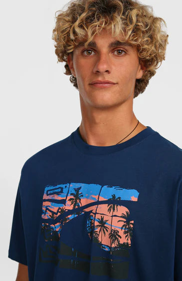 O´Neill Gradient T-shirt English Evening