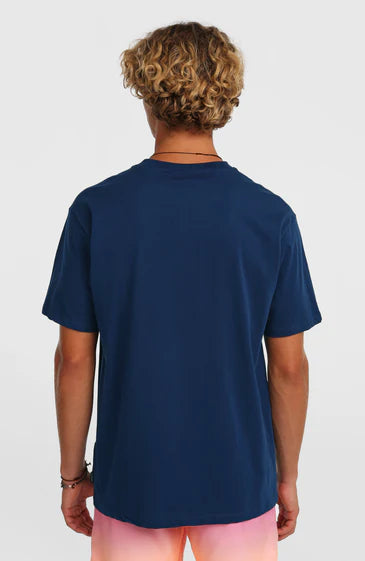 O´Neill Gradient T-shirt English Evening