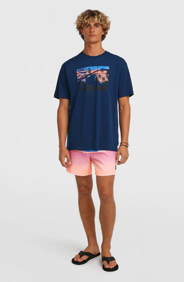 O´Neill Gradient T-shirt English Evening