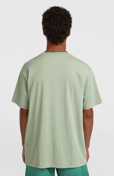 O´Neill Melange Front Print T-shirt Marble
